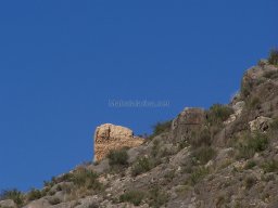 Castillo de Pliego 2009